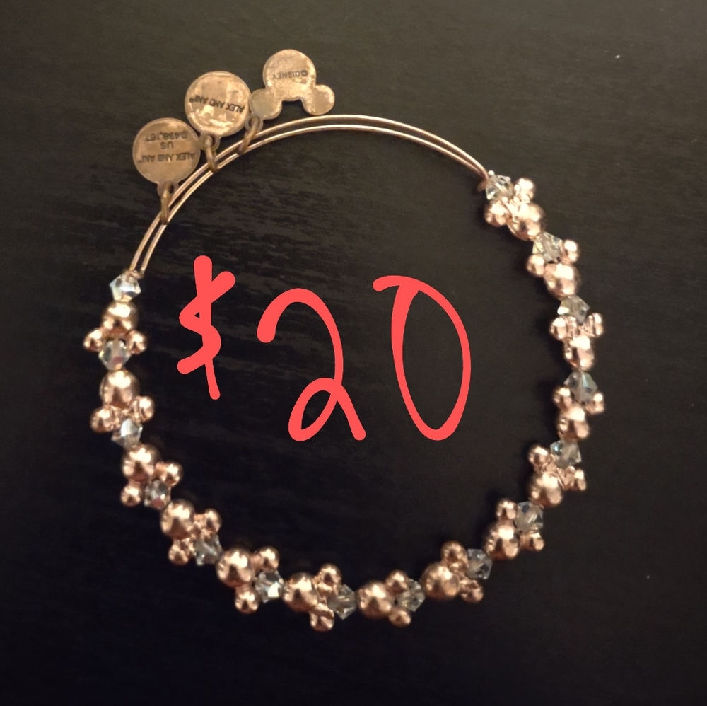 Alex and Ani Disney parks bracelet